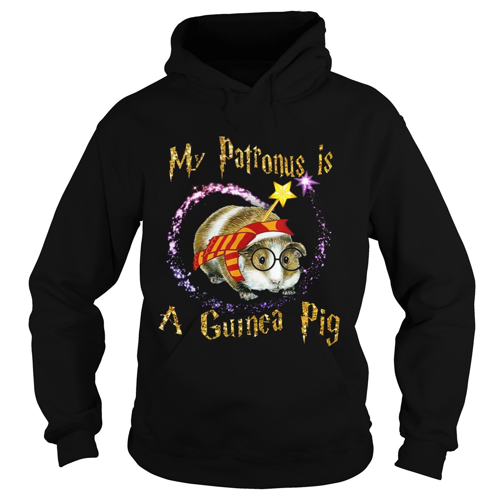 1572854046My Patronus Is A Guinea Pig Hoodie