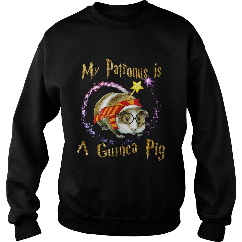 1572854046My Patronus Is A Guinea Pig Sweatshirt