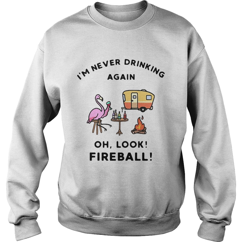 1572856228Flamingos Iâ€™m Never Drinking Again Oh Look Fireball Sweatshirt