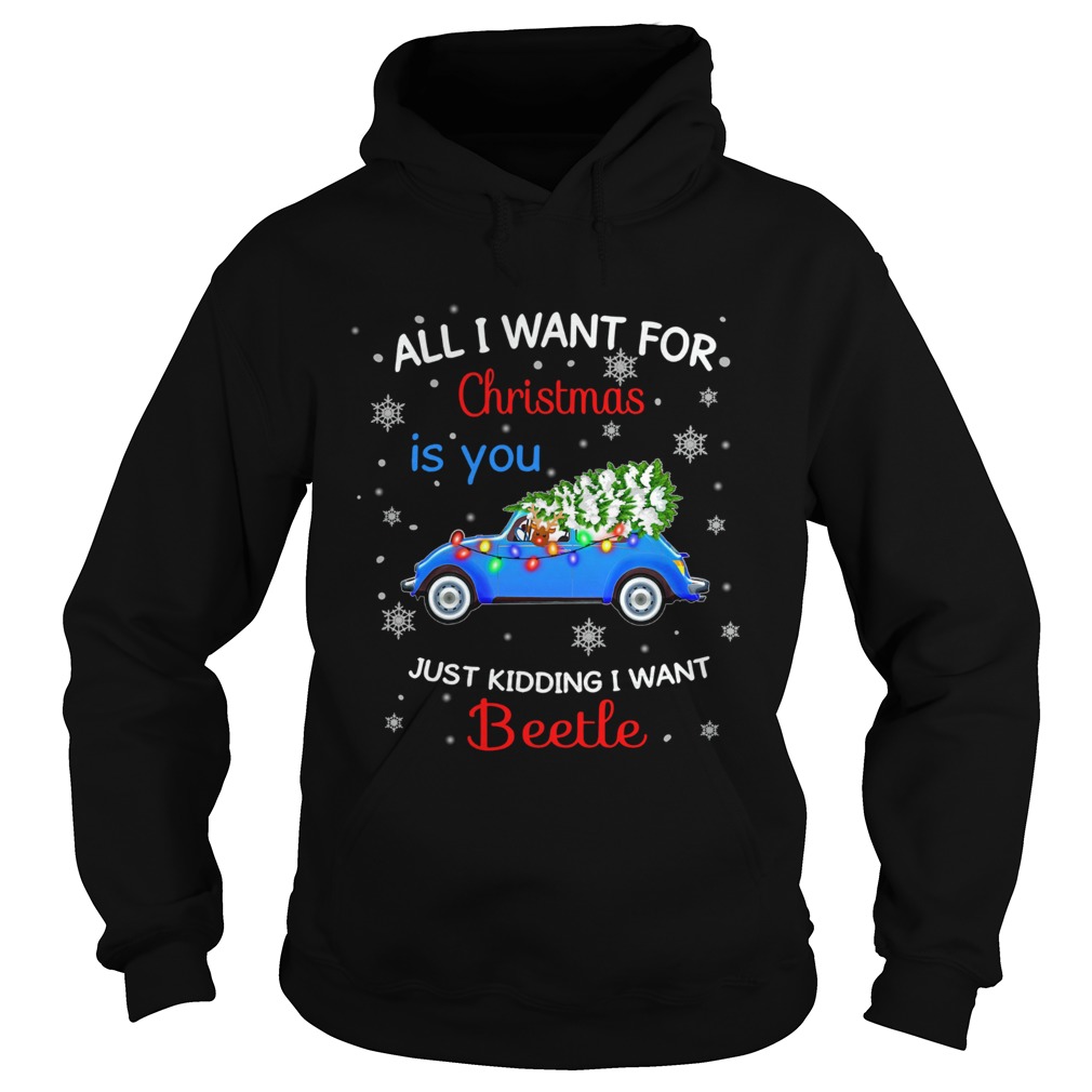 All I want for christmas is you just kidding I want Beetle Hoodie