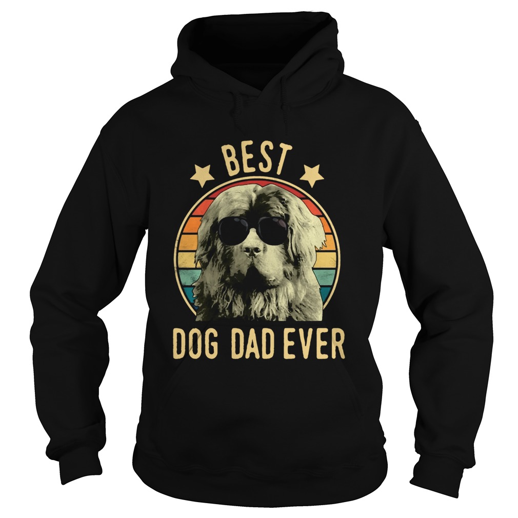 Best Dog Dad Ever Newfoundland Dog Vintage Hoodie