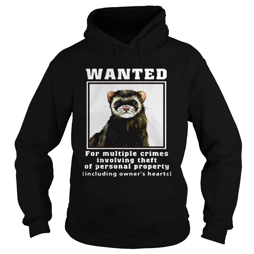 Ferrets Wanted for multiple crimes involving Hoodie