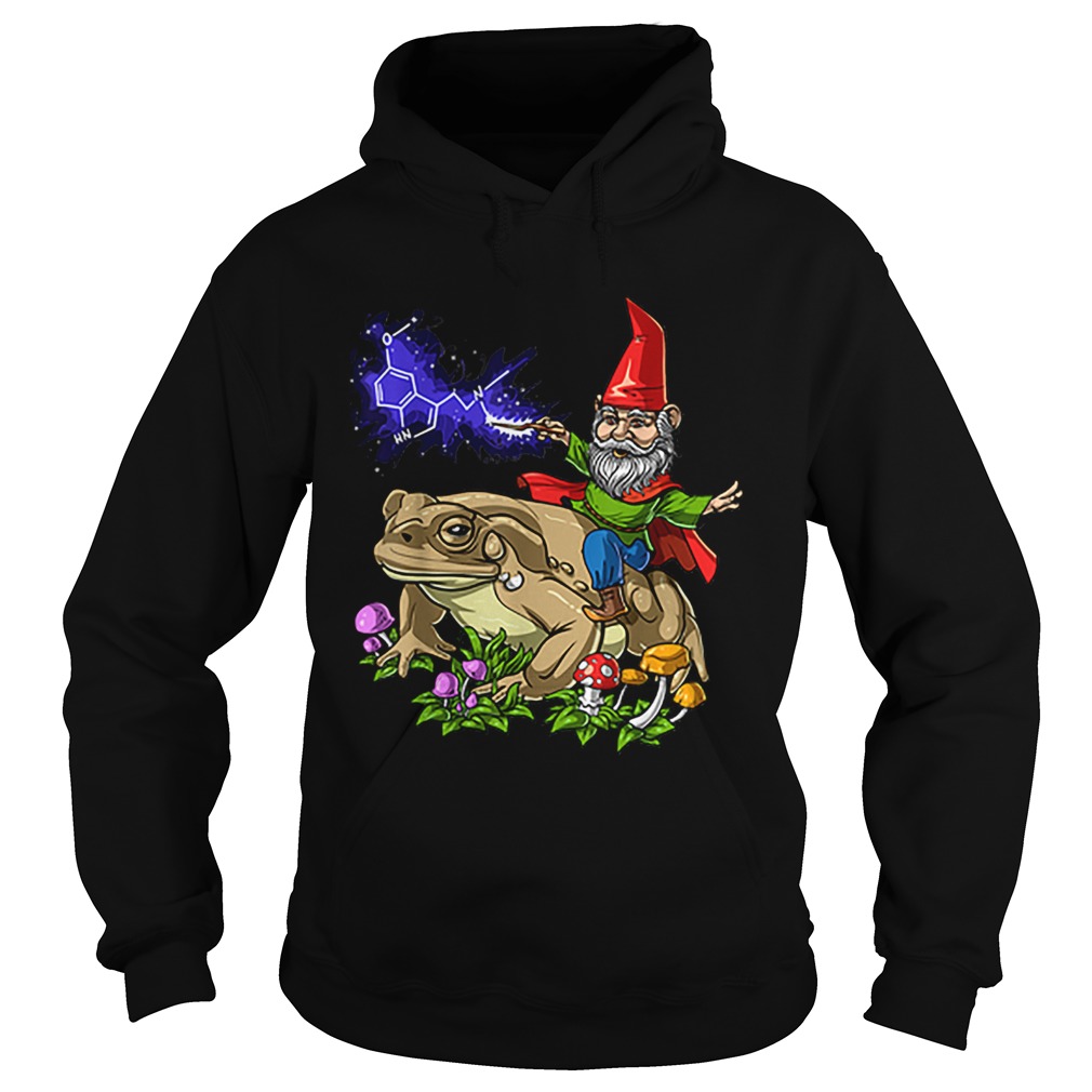 Gnome Riding Bufo Alvarius Toad Chemistry Witch Christmas Hoodie