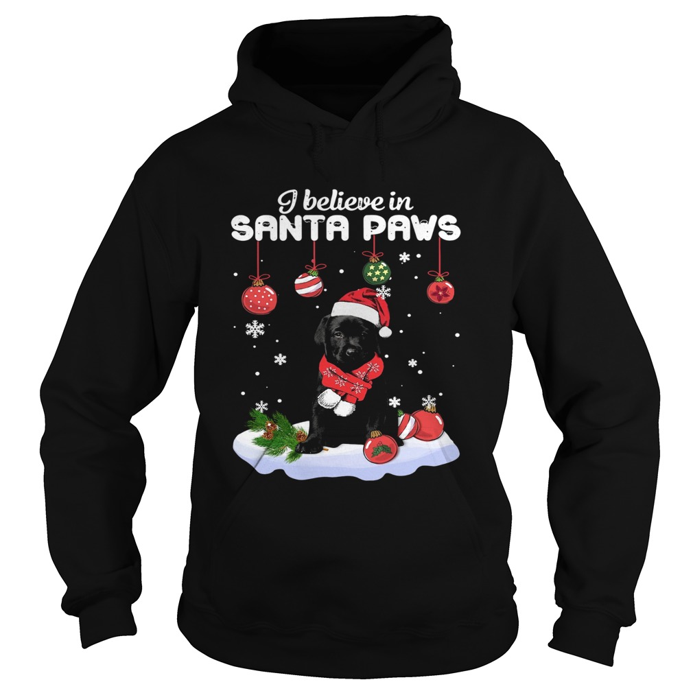 I believe in Santa Paws Christmas Hoodie
