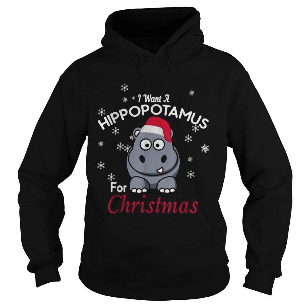 I want a Hippopotamus for Christmas Hoodie