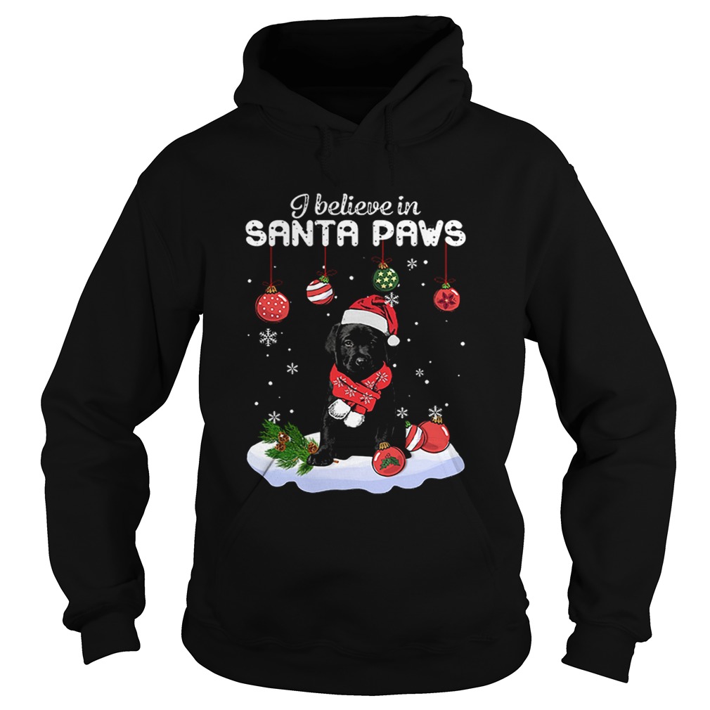 Labrador I believe in Santa Paws Christmas Hoodie