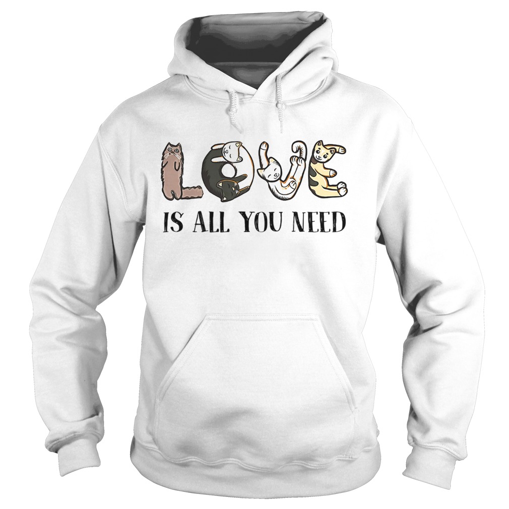 Love Is All You Need Hoodie