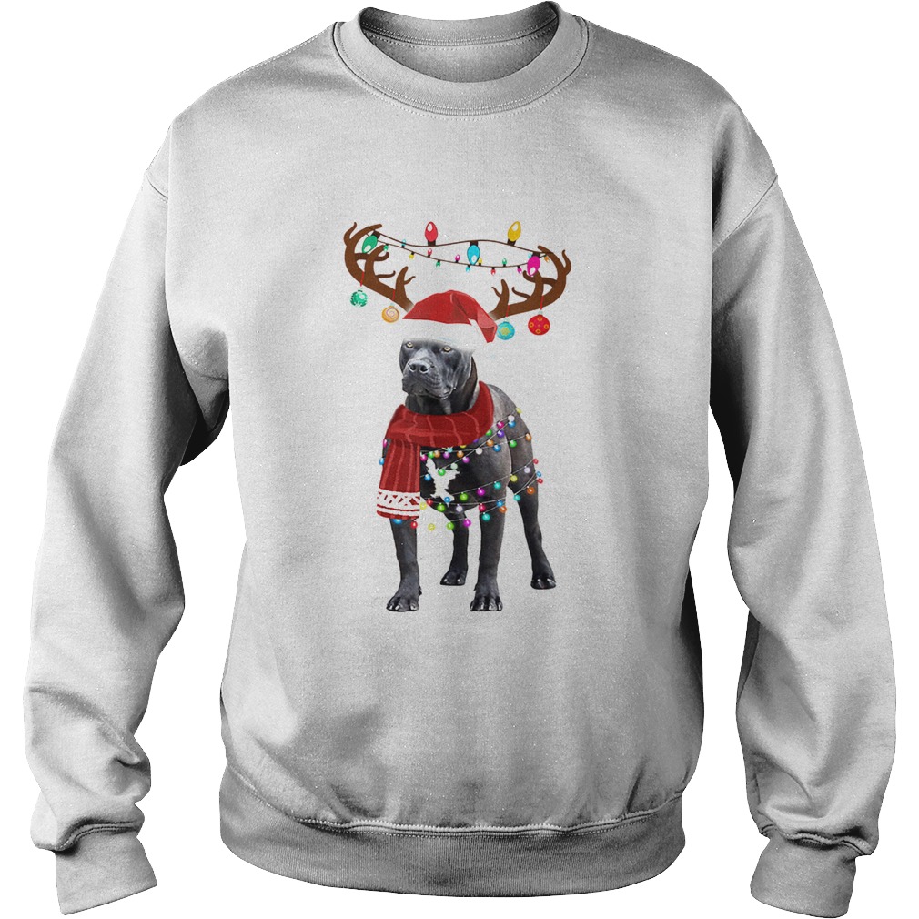 Nice Cute Pitbull Christmas Lights Reindeer Pajamas Sweatshirt