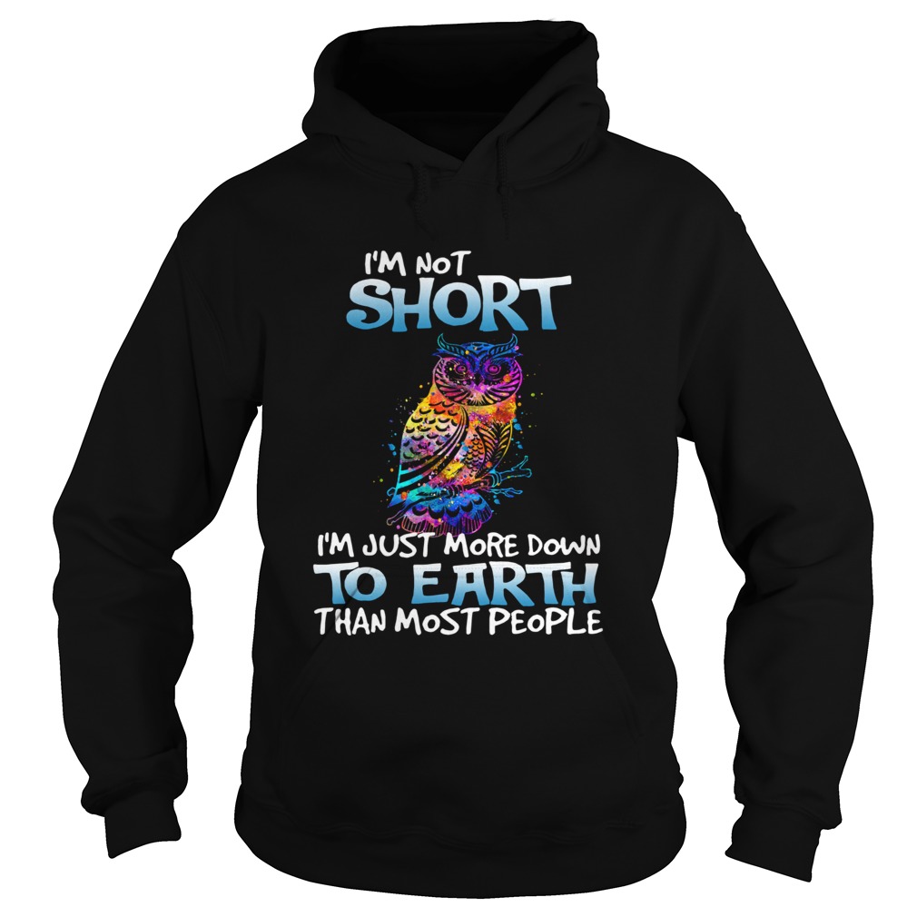 Owl Im not short Im just more down to earth Hoodie