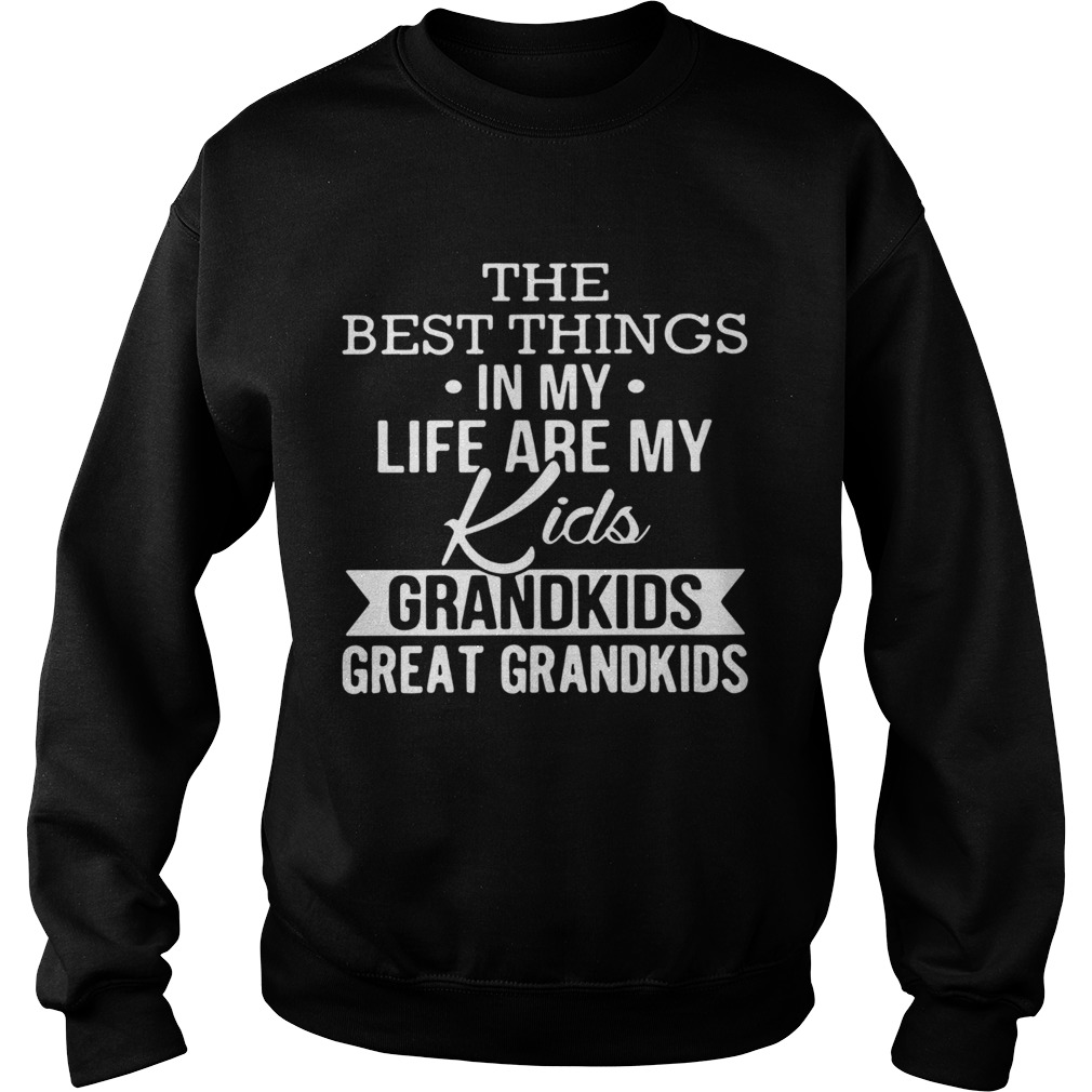 The best things in my life are my kids grandkids great grandkids Sweatshirt