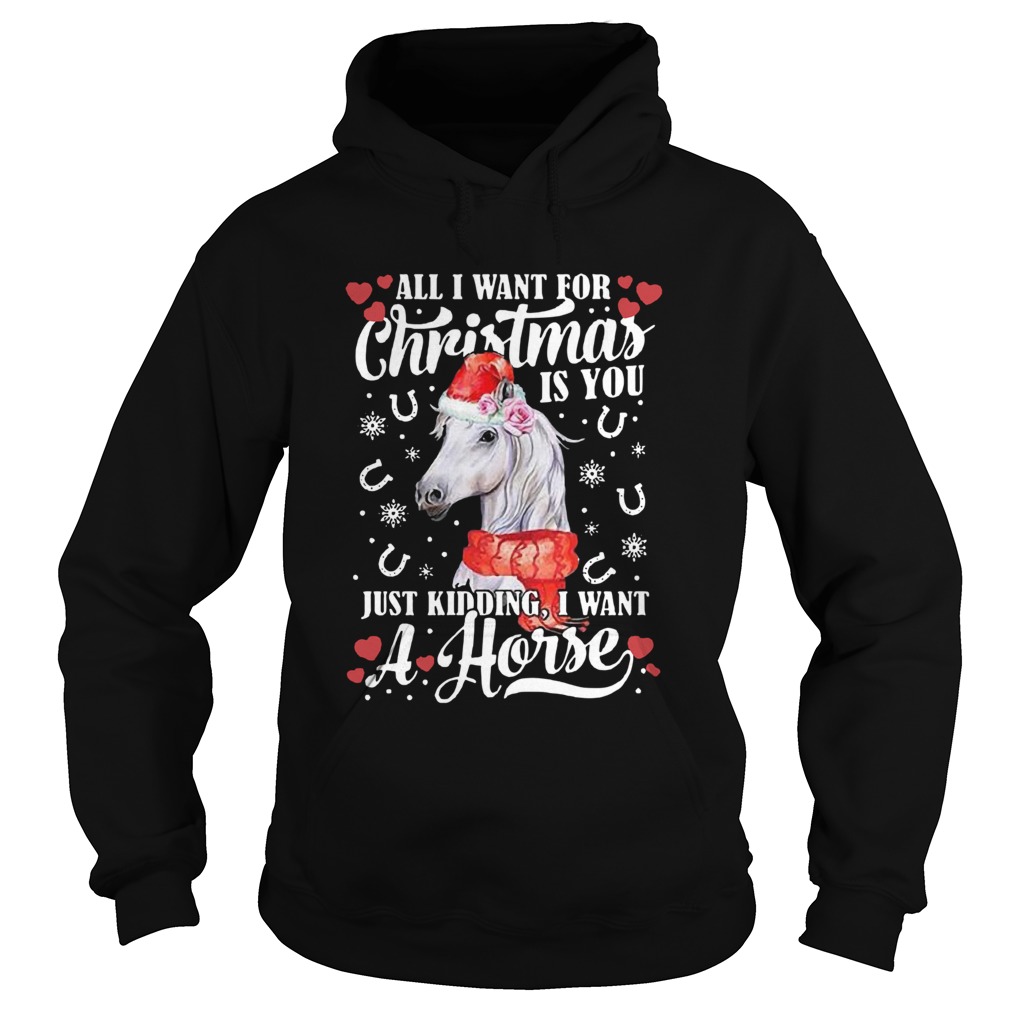 All I Want For Christmas Is You Just Kidding I Want A Horse Hoodie