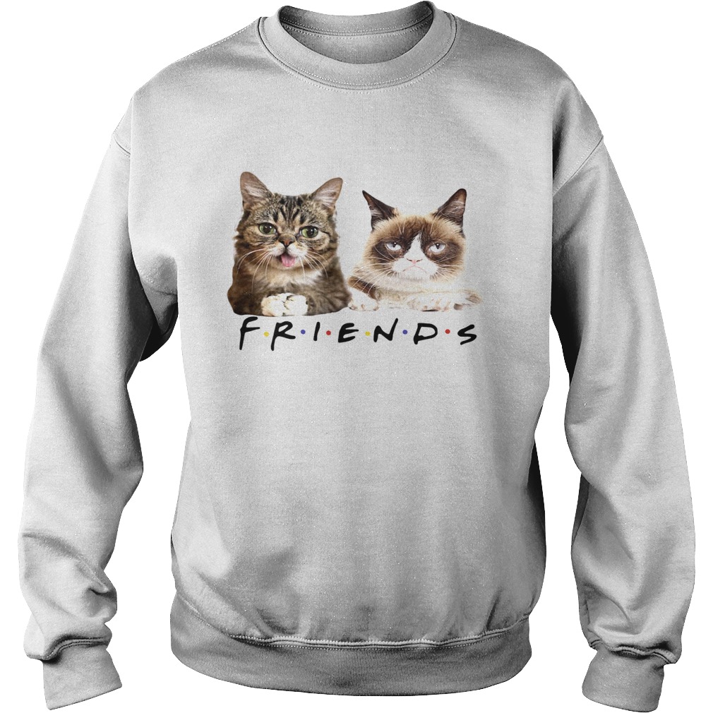 Lil Bub and Grumpy cat friends tv show Sweatshirt
