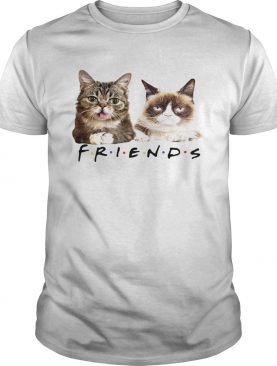 Lil Bub and Grumpy cat friends tv show shirt