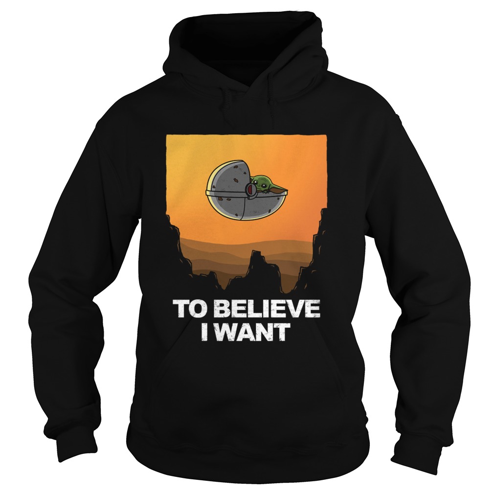 To Believe I Want Hoodie