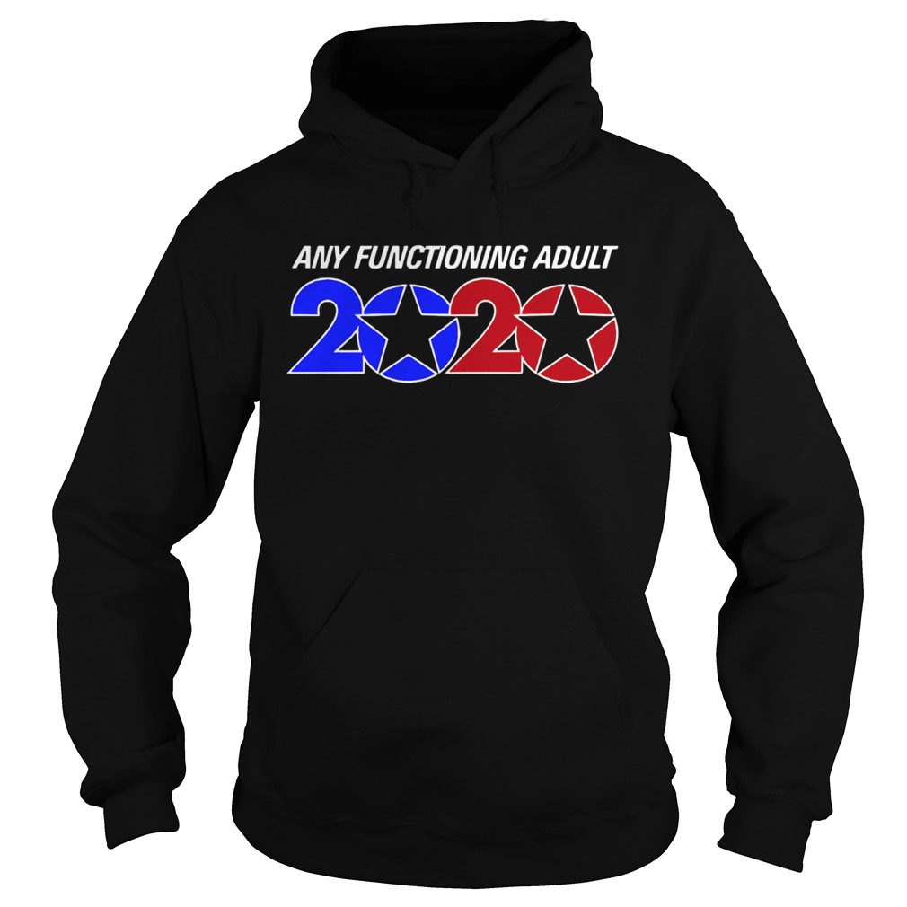 Any Functioning Adult 2020 Hoodie