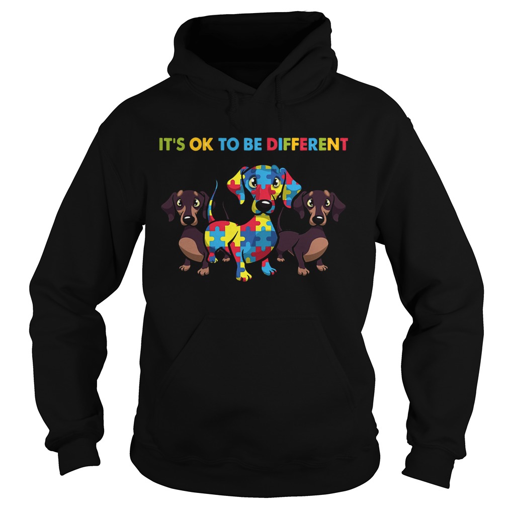 Dachshund Autism Its Ok To Be Different Hoodie