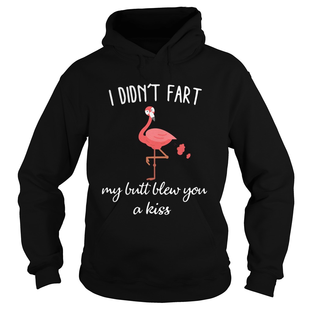 Flamingo i didnt fart my butt blew you a kiss Hoodie