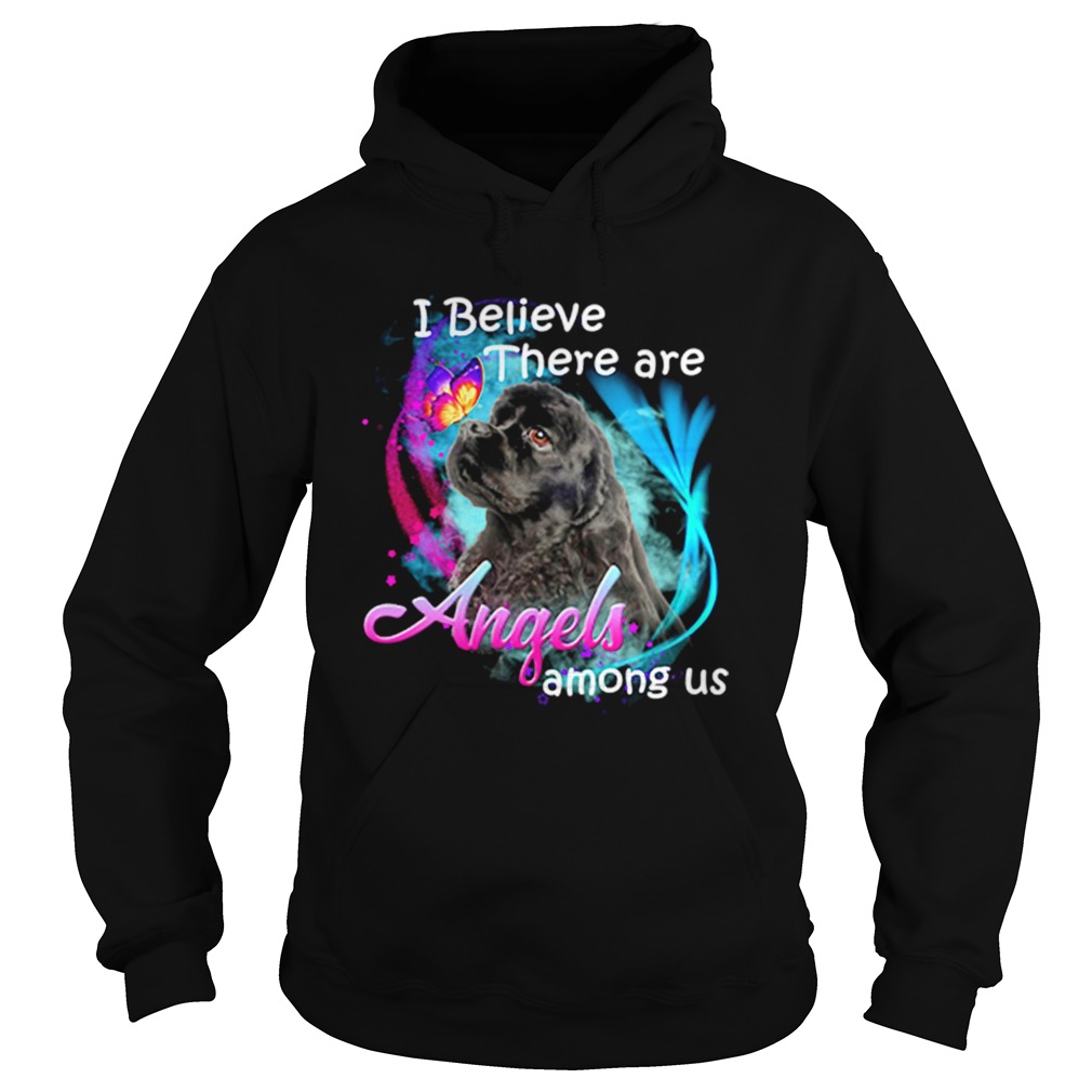 American Cocker Spaniel I believe there are angels among us Hoodie
