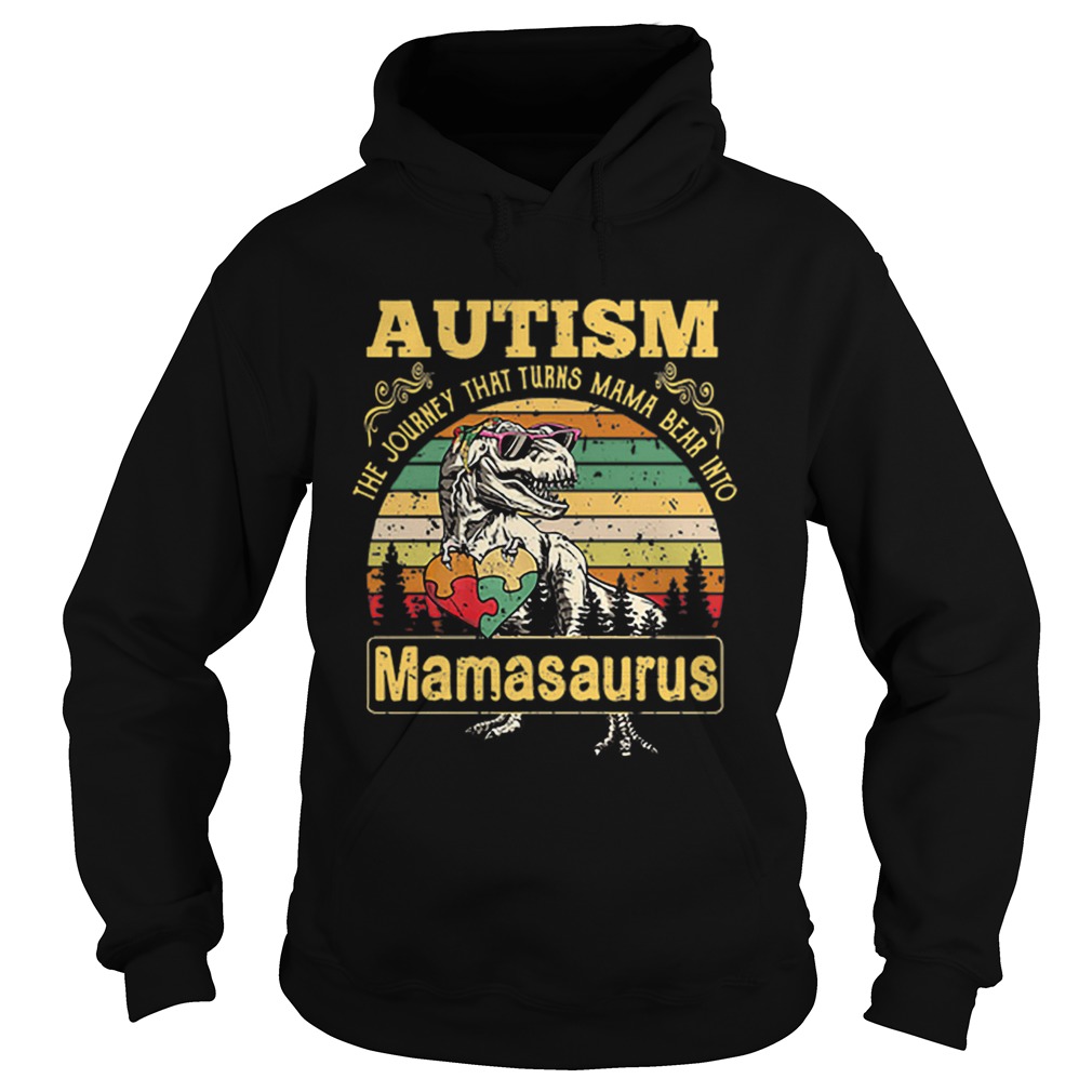 Autism The Journey That Turns Mama Bear Into Mamasaurus Vintage Hoodie
