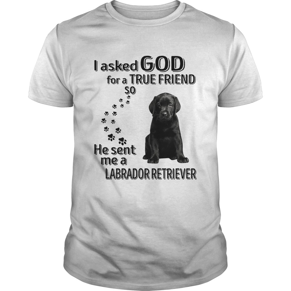I Ask God For A True Friend So He Sent Me A Labrador Retriever shirt