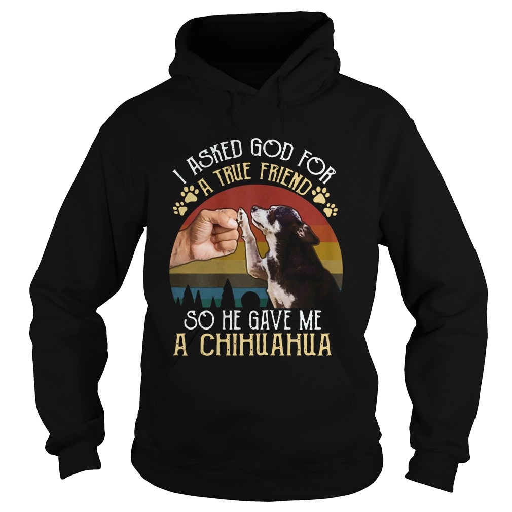 I Asked GOD For True Friend He Sent Me Chihuahua Vintage 2020 Hoodie