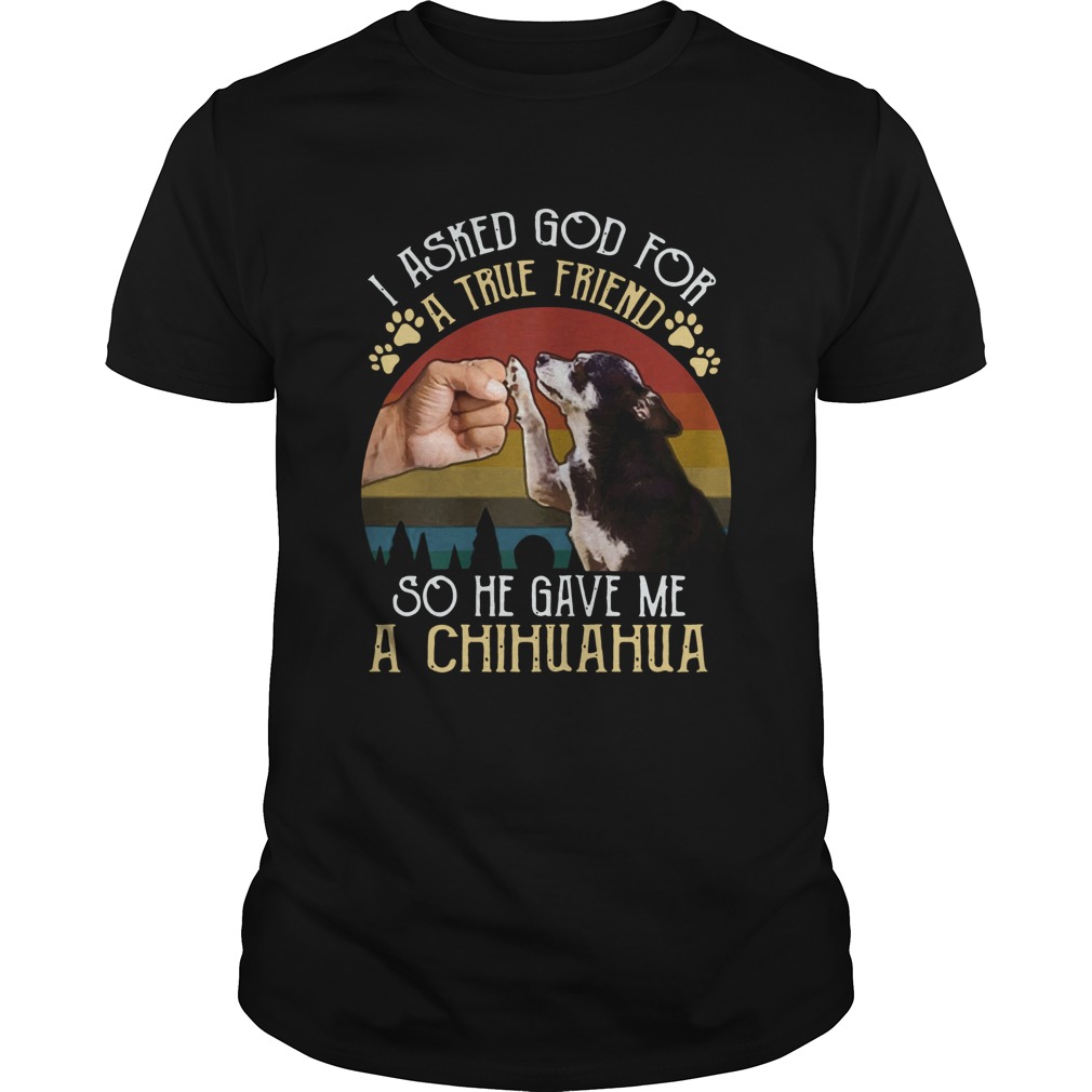 I Asked GOD For True Friend He Sent Me Chihuahua Vintage 2020 Unisex