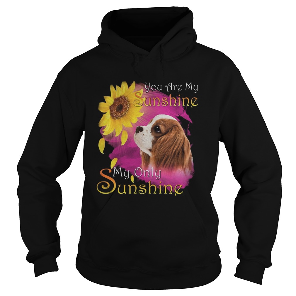 Cavalier King Charles Spaniel You Are My Sunshine My Only Sunshine Hoodie