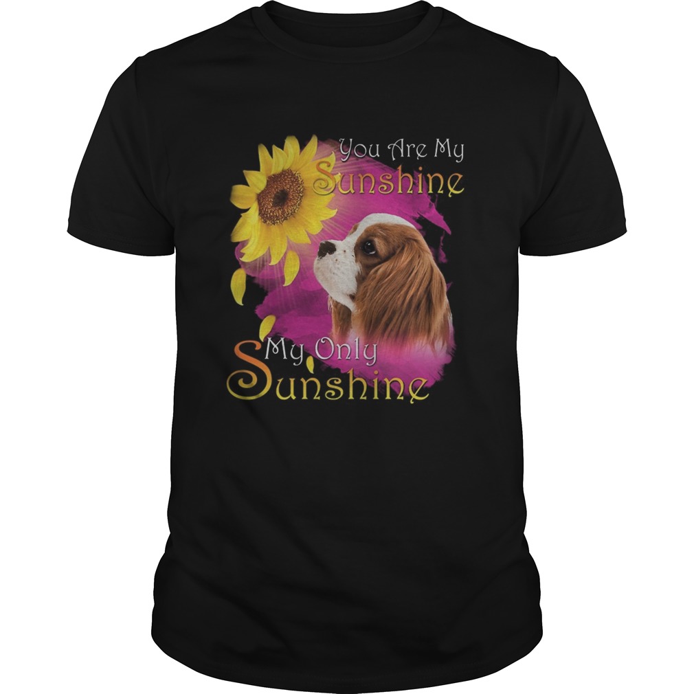 Cavalier King Charles Spaniel You Are My Sunshine My Only Sunshine shirt