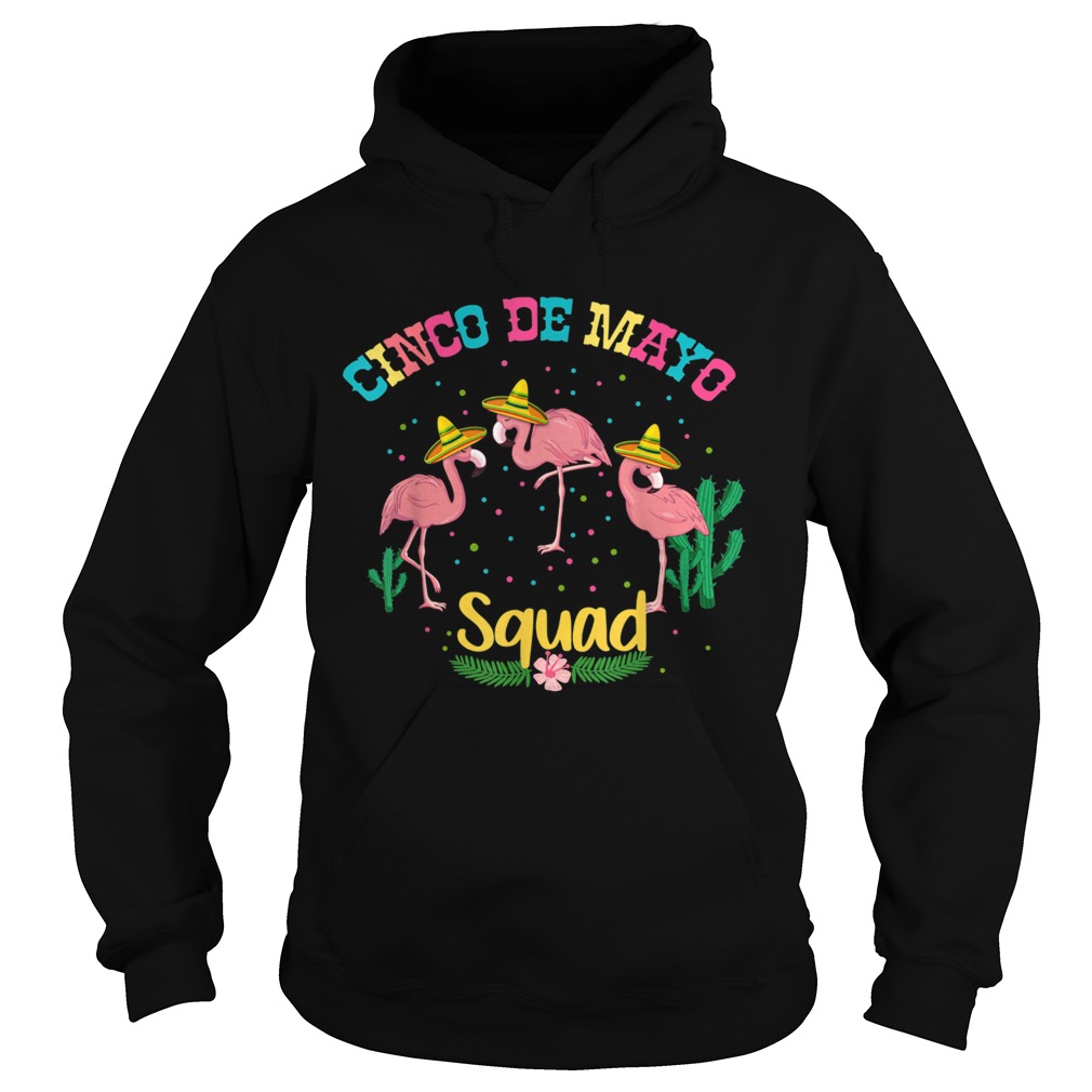 Flamingo Squad Cinco De Mayo Sombrero Mexican Hoodie
