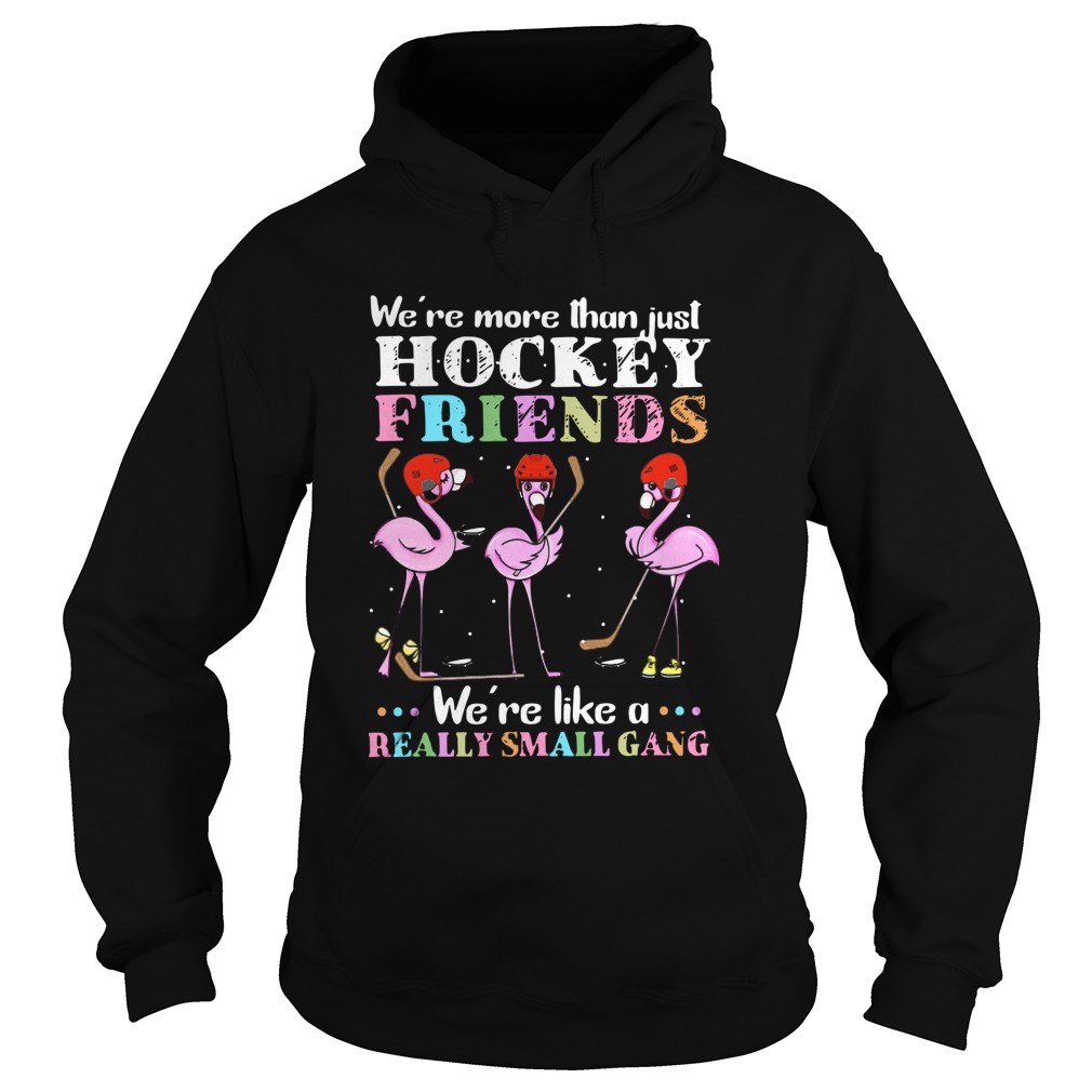 Flamingo Were More Than Just Hockey Friends Were Like A Really Small Gang Hoodie