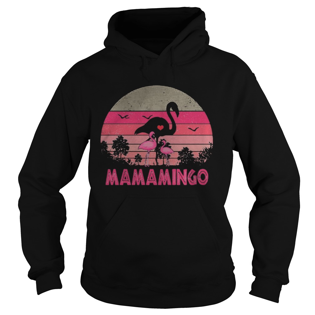 Flamingo mamamingo vintage retro Hoodie