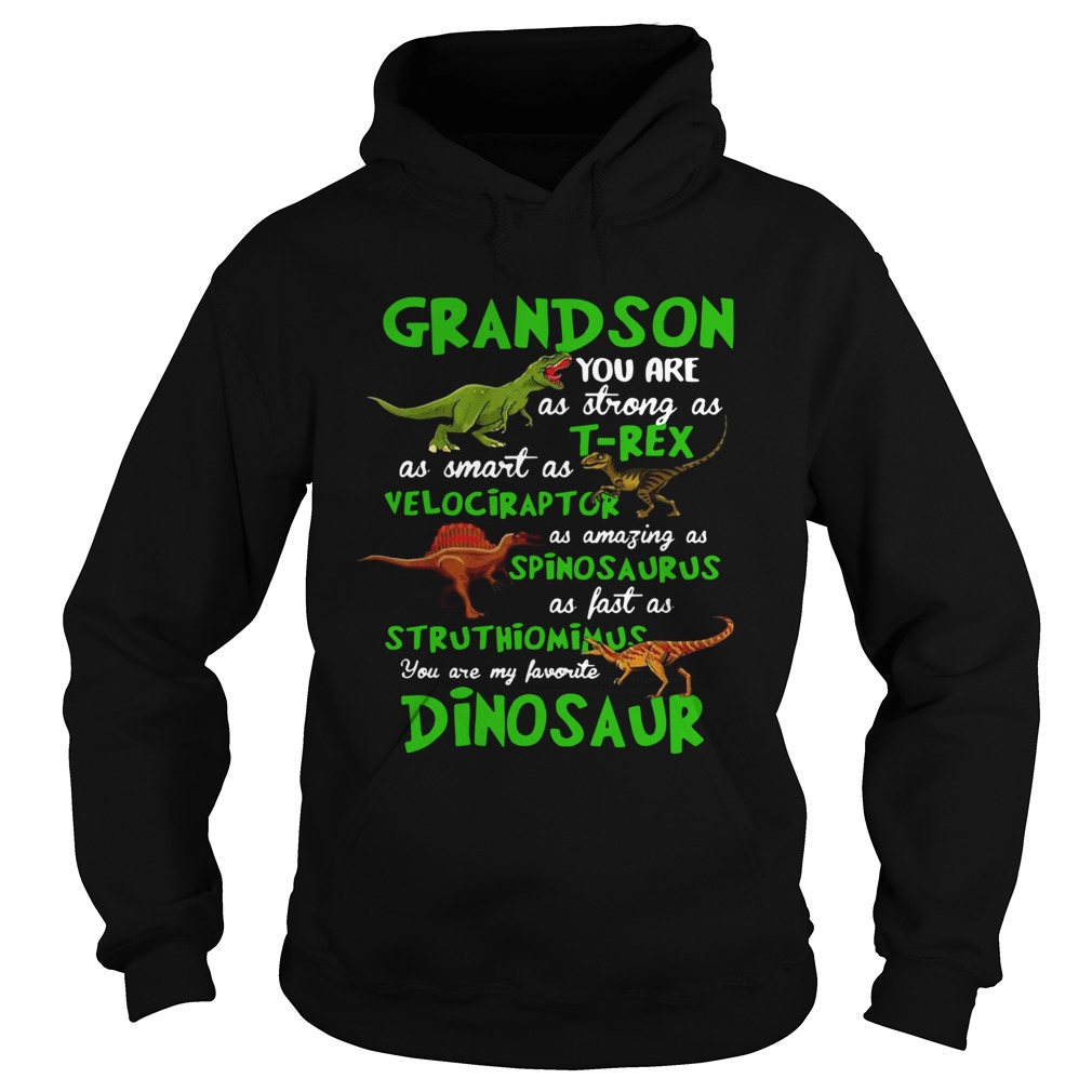 Grandson You Are As Strong As Trex As Smart As Velociraptor As Amazing As Spinosaurus Dinosaur shi Hoodie