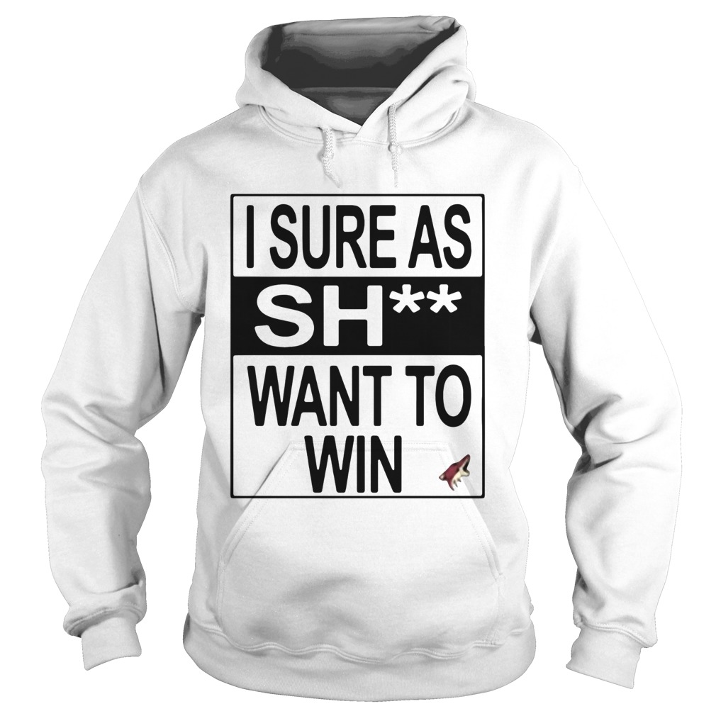 I Sure As Shit Want To Win Arizona Coyotes Hoodie
