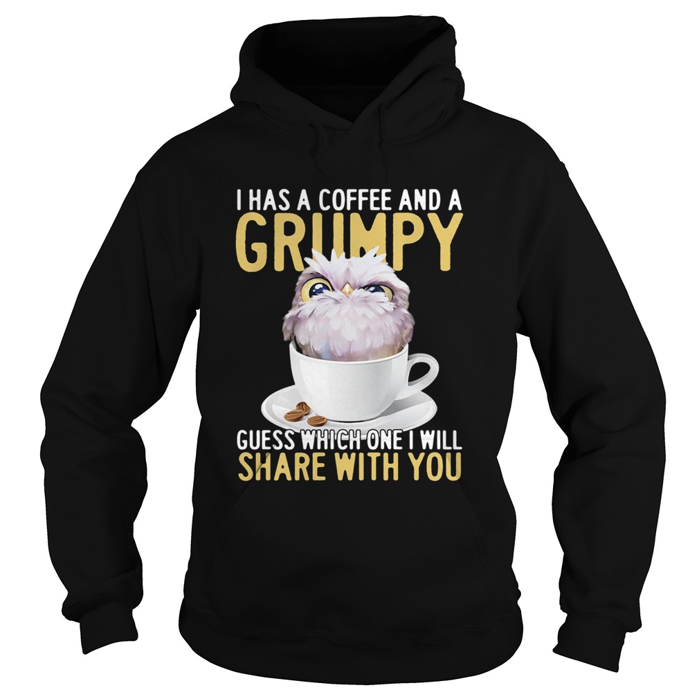 I has a coffee and a grumpy guess which one I will share with you owl Hoodie