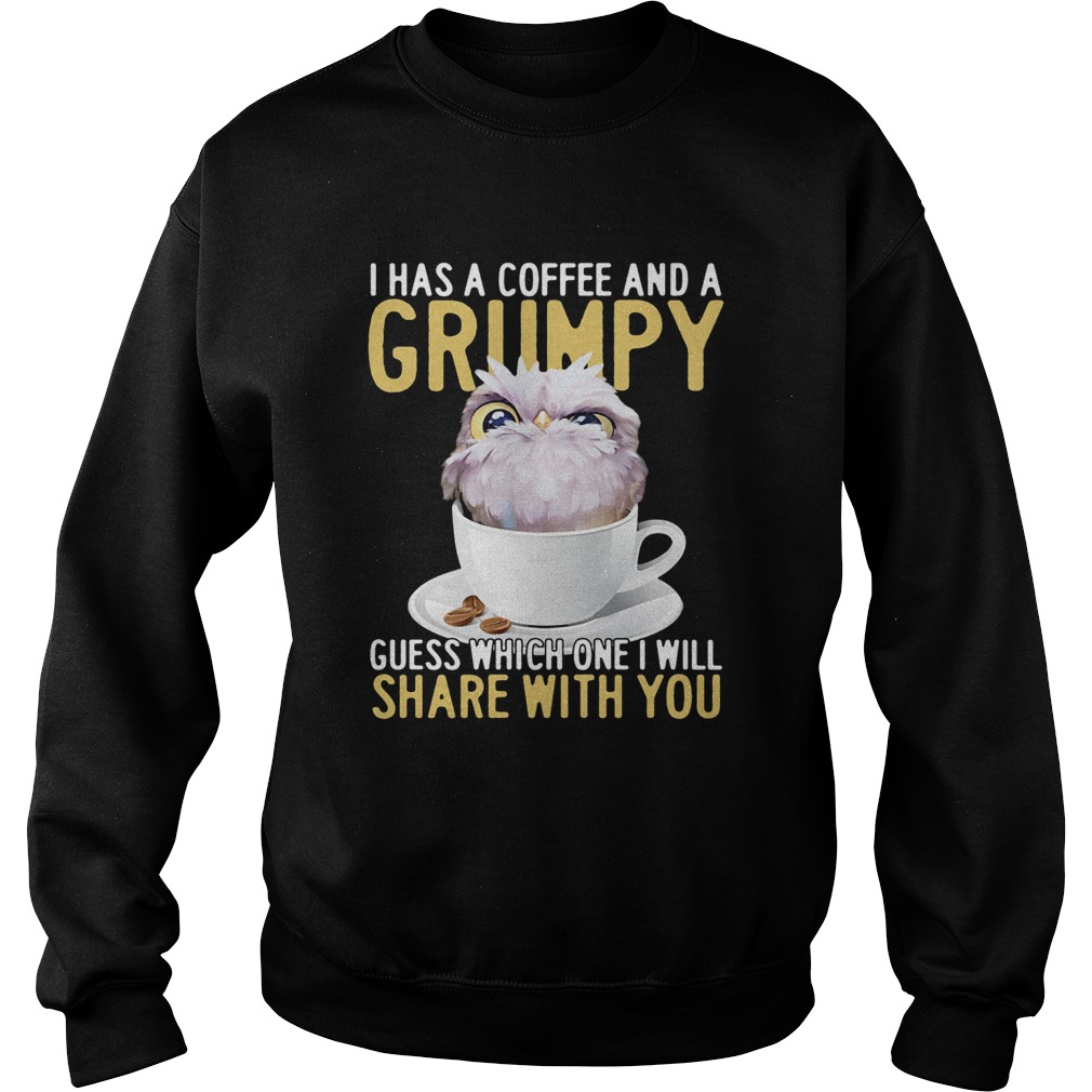 I has a coffee and a grumpy guess which one I will share with you owl Sweatshirt