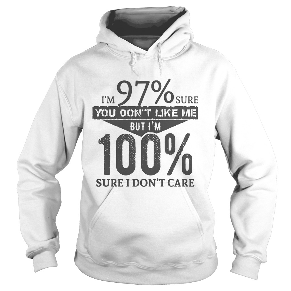 Im 97 Sure You Dont Like Me But Im 100 Sure I Dont Care Hoodie