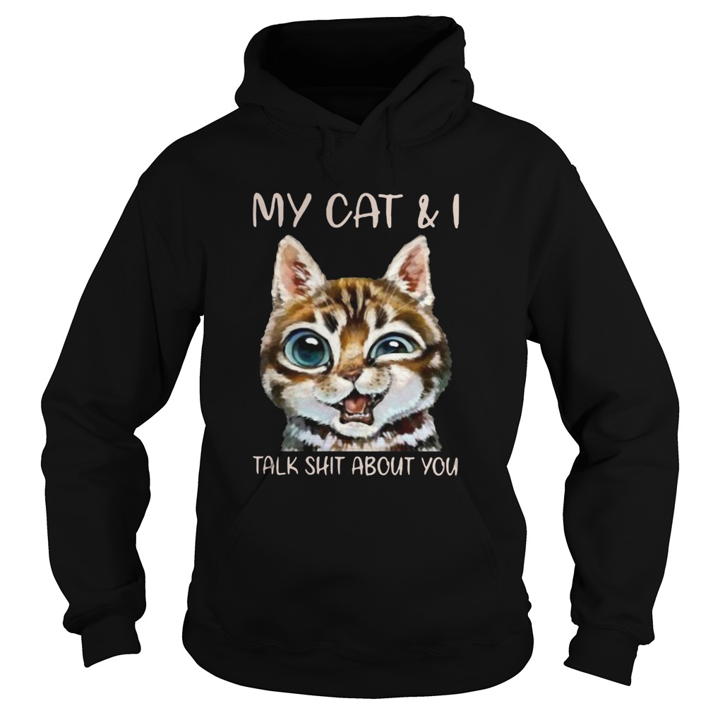 My Cat And I Talk Shit About You Hoodie