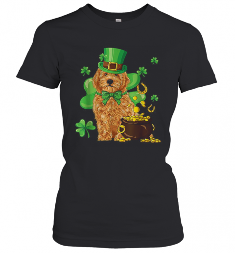 Nice Goldendoodle St Patrick'S Day Irish Dog Lover T-Shirt Classic Women's T-shirt