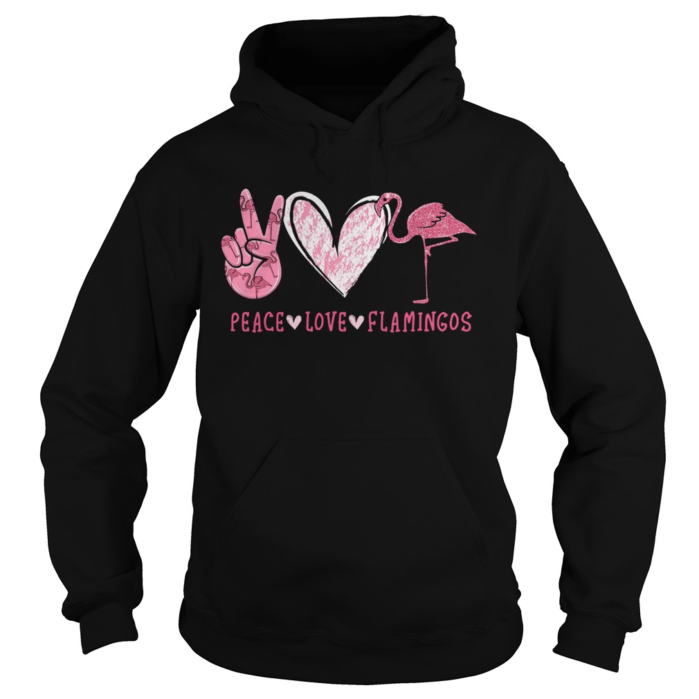 Peace Love Flamingos Hoodie
