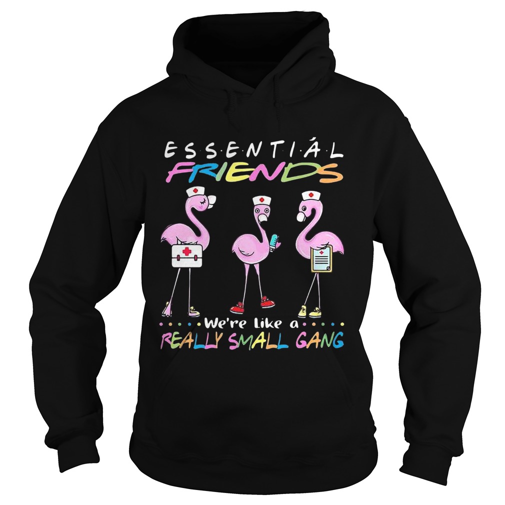 Flamingo Were More Than Just Essential Friends Were Like A Really Small Gang Hoodie
