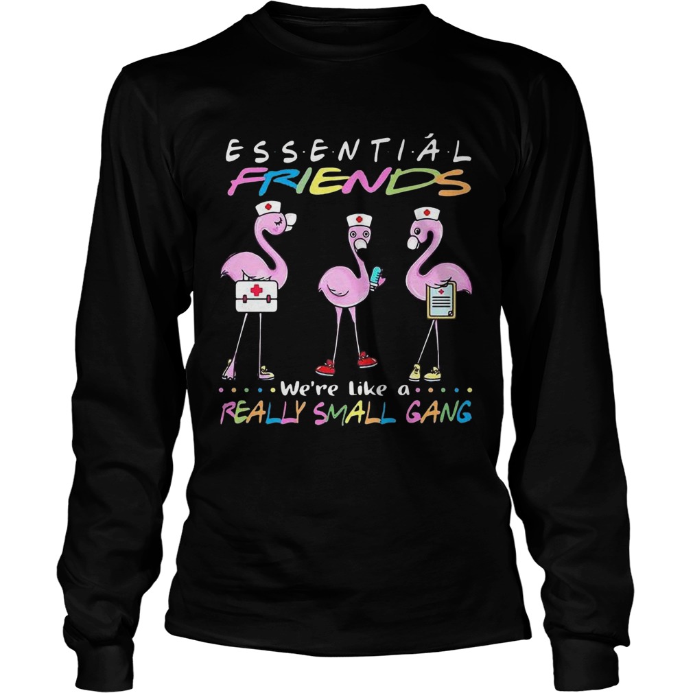 Flamingo Were More Than Just Essential Friends Were Like A Really Small Gang Long Sleeve