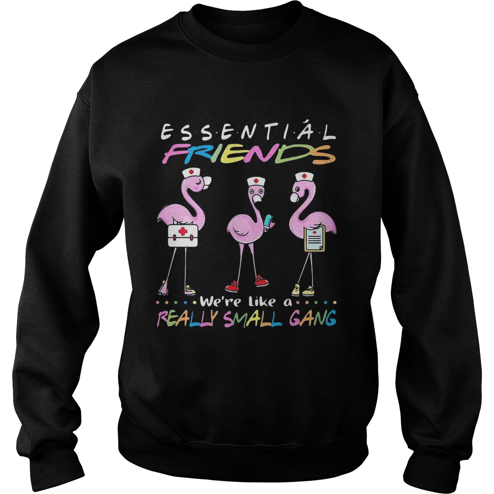 Flamingo Were More Than Just Essential Friends Were Like A Really Small Gang Sweatshirt