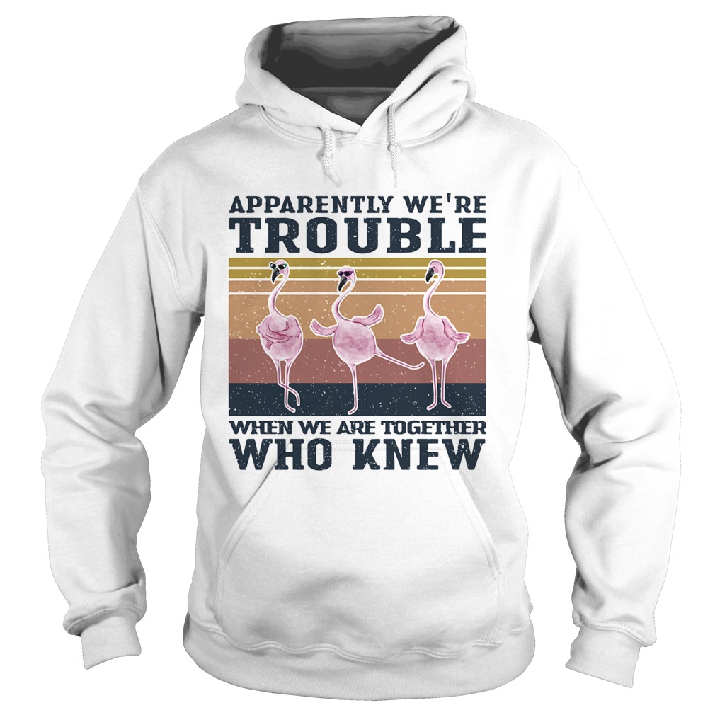 Flamingo apparently were trouble when we are together who knew vintage Hoodie