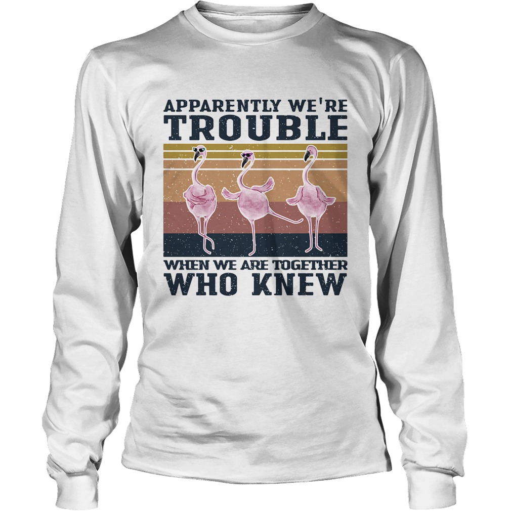 Flamingo apparently were trouble when we are together who knew vintage Long Sleeve