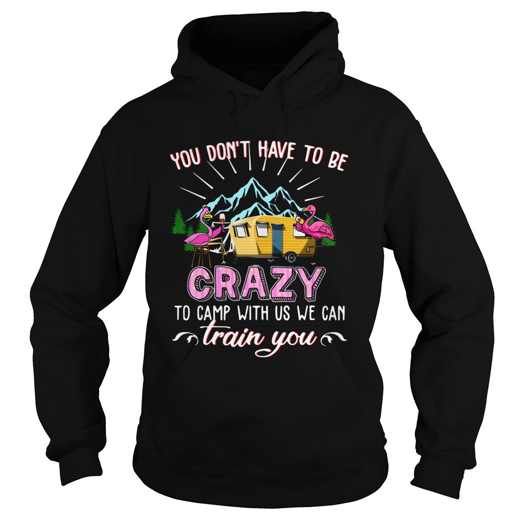 Flamingos You Dont Have To Be Crazy To Camp With Us We Can Train You Hoodie
