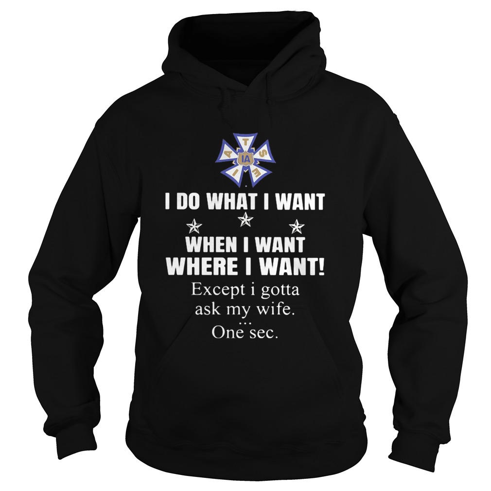 International Alliance of Theatrical Stage Employees I do what i want when i want where i want exce Hoodie