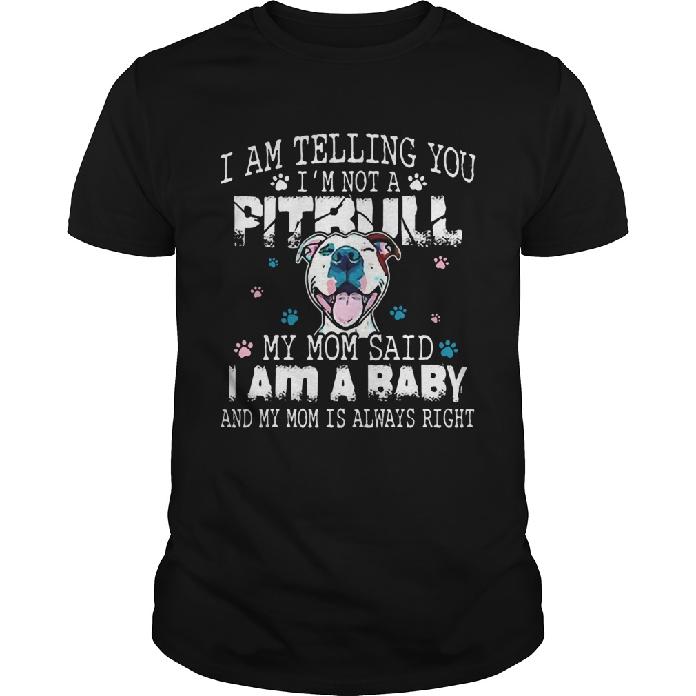 Pitbull Baby shirt