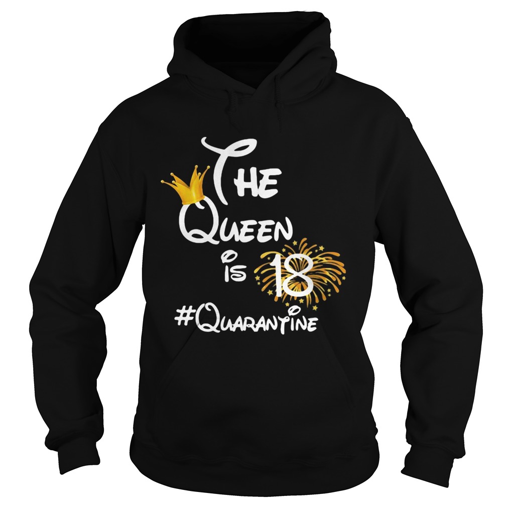The queen is 18 quarantine fireworks Hoodie