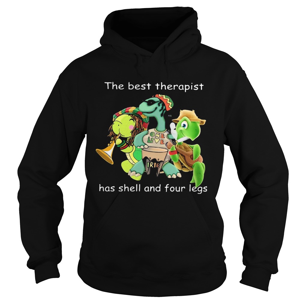 Turtle the best therapist has shell and four legs Hoodie