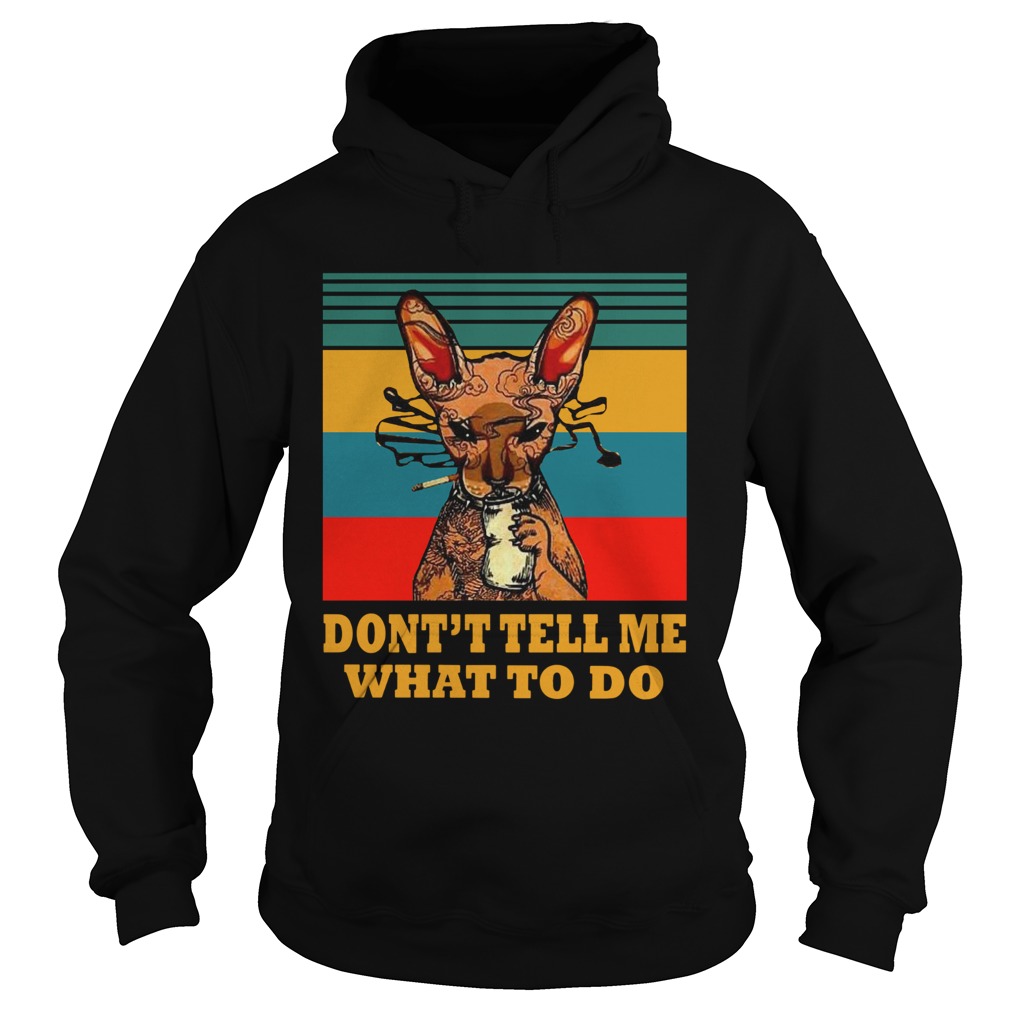 Vintage Cat Smoke At Dont Tell Me What To Do Hoodie